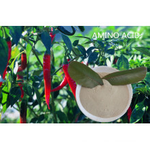 Plant Source Amino Acid Soluble Powder Amino Acid